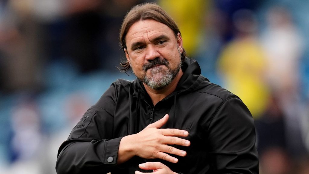 skysports-daniel-farke-leeds_7350728.jpg