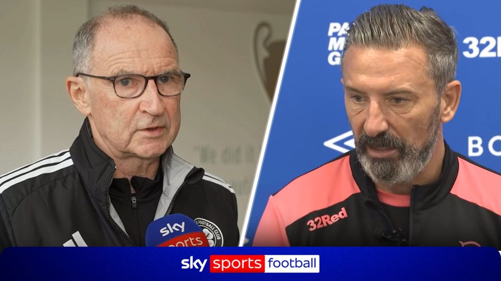 skysports-football-mcinnes_7340922.jpg