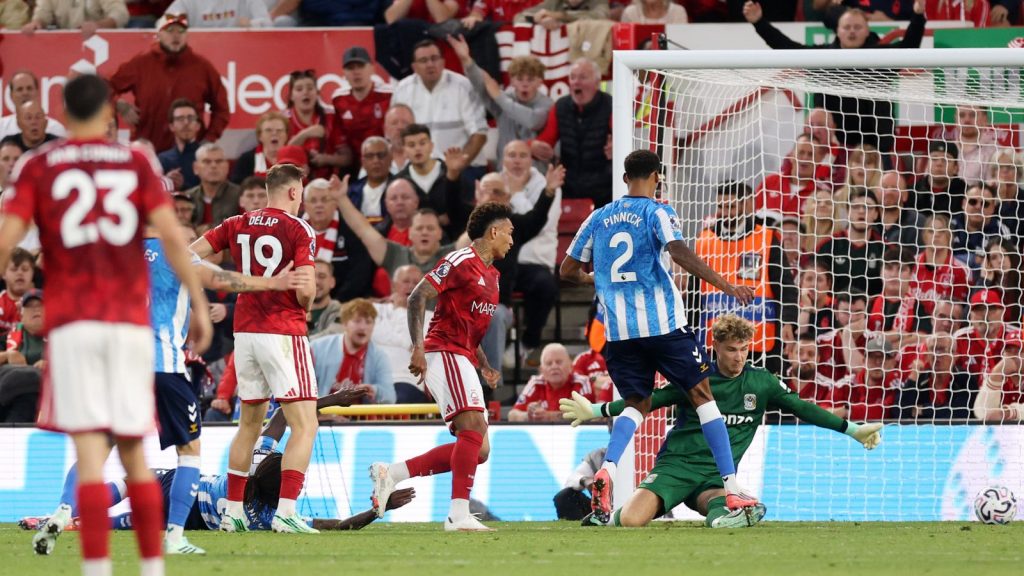 skysports-premier-league-igor-jesus_7356626.jpg